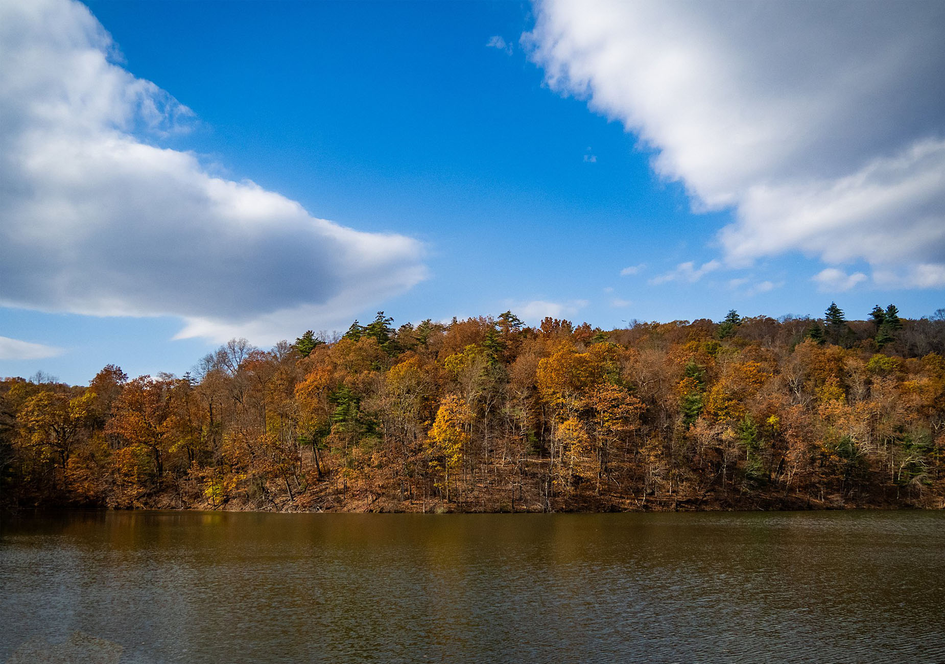 West Hartford Reservoir Trail Unveiled : Exploring Nature's Serenity