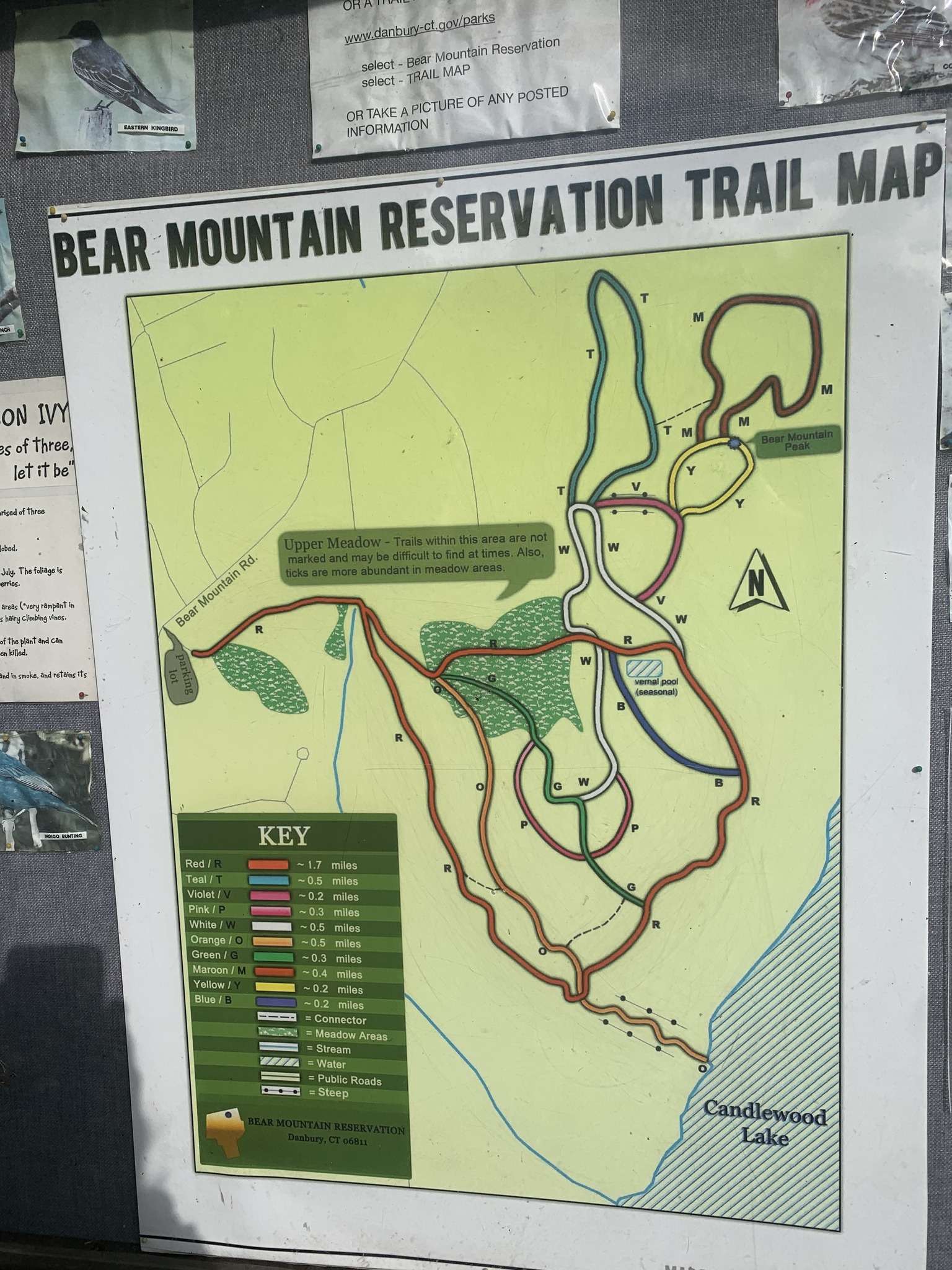 Bear Mountain Reservation Trail map